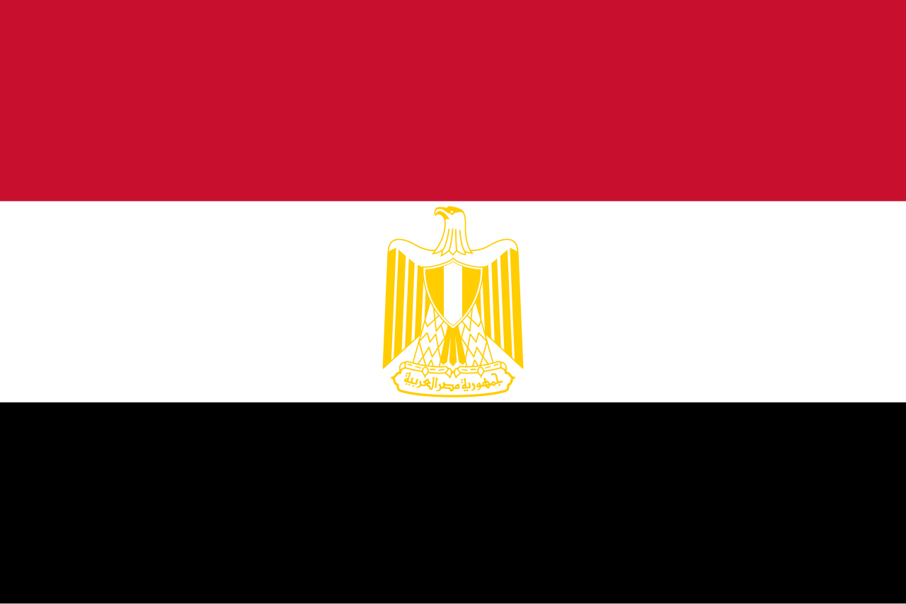 Read more about the article Egypt’s Media Landscape – Control and Distrust