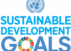 Sustainable Development Goals Logo
